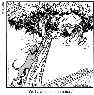 marmaduke